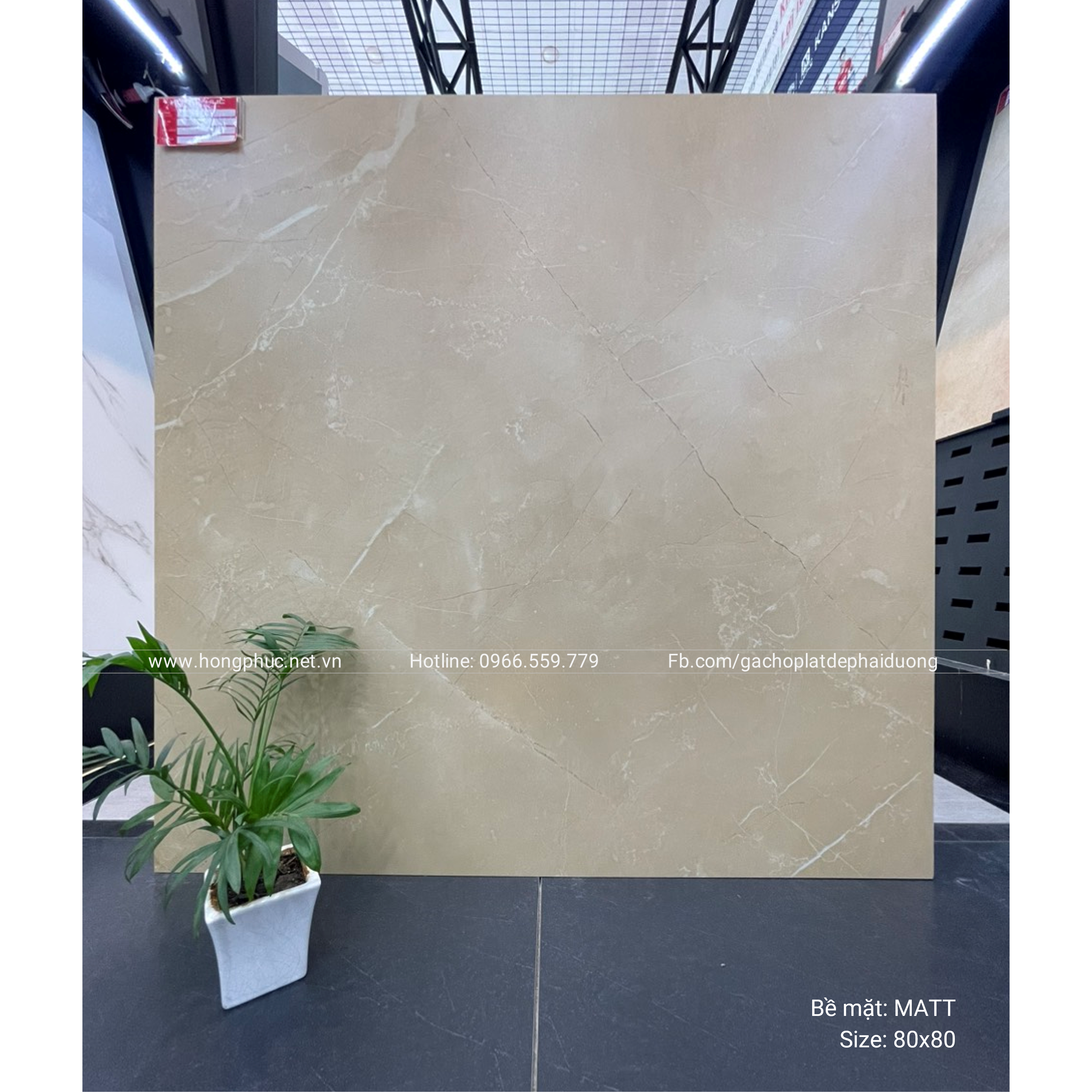 Gạch Ấn Độ HP22 Gạch Ấn Độ HP22