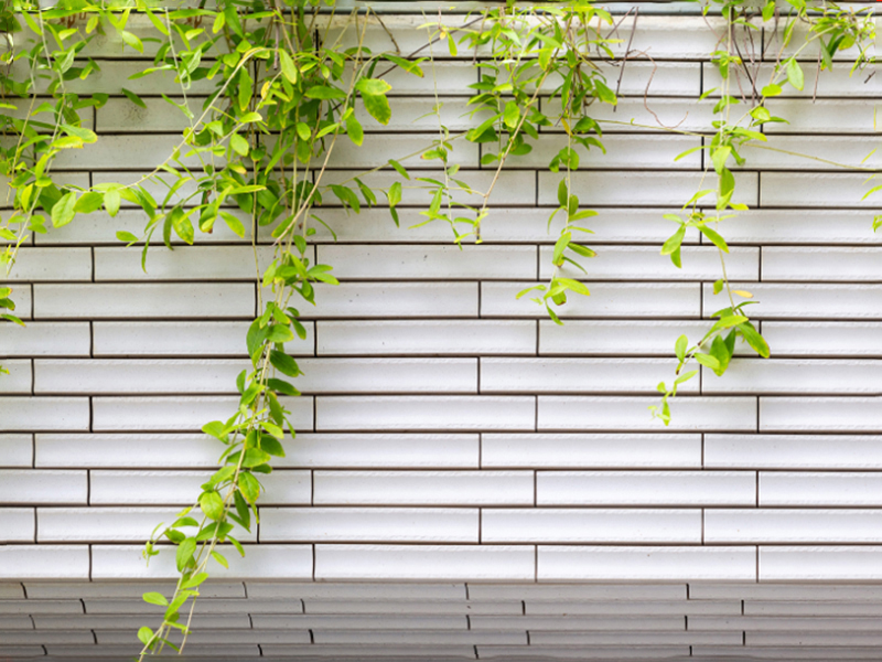 Hinh-anh-thuc-te-Gạch INAX-40B/RB-3